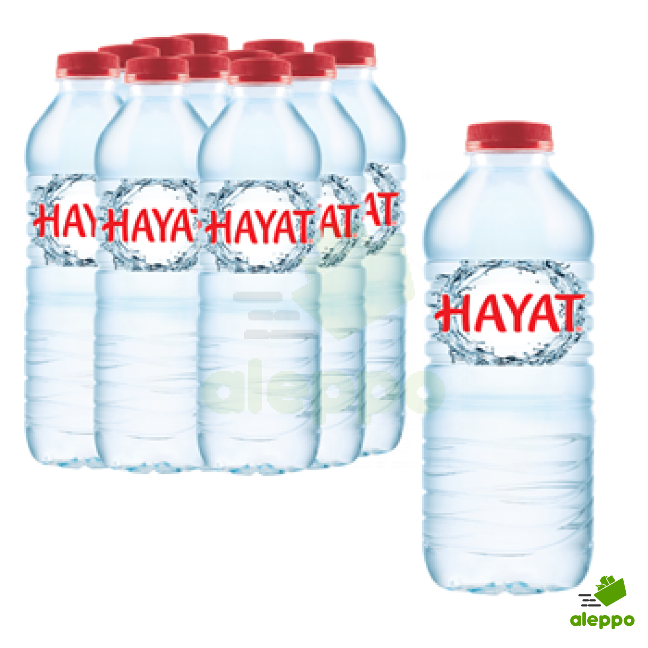 Hayat Water 500ml - Anta Foods Ltd